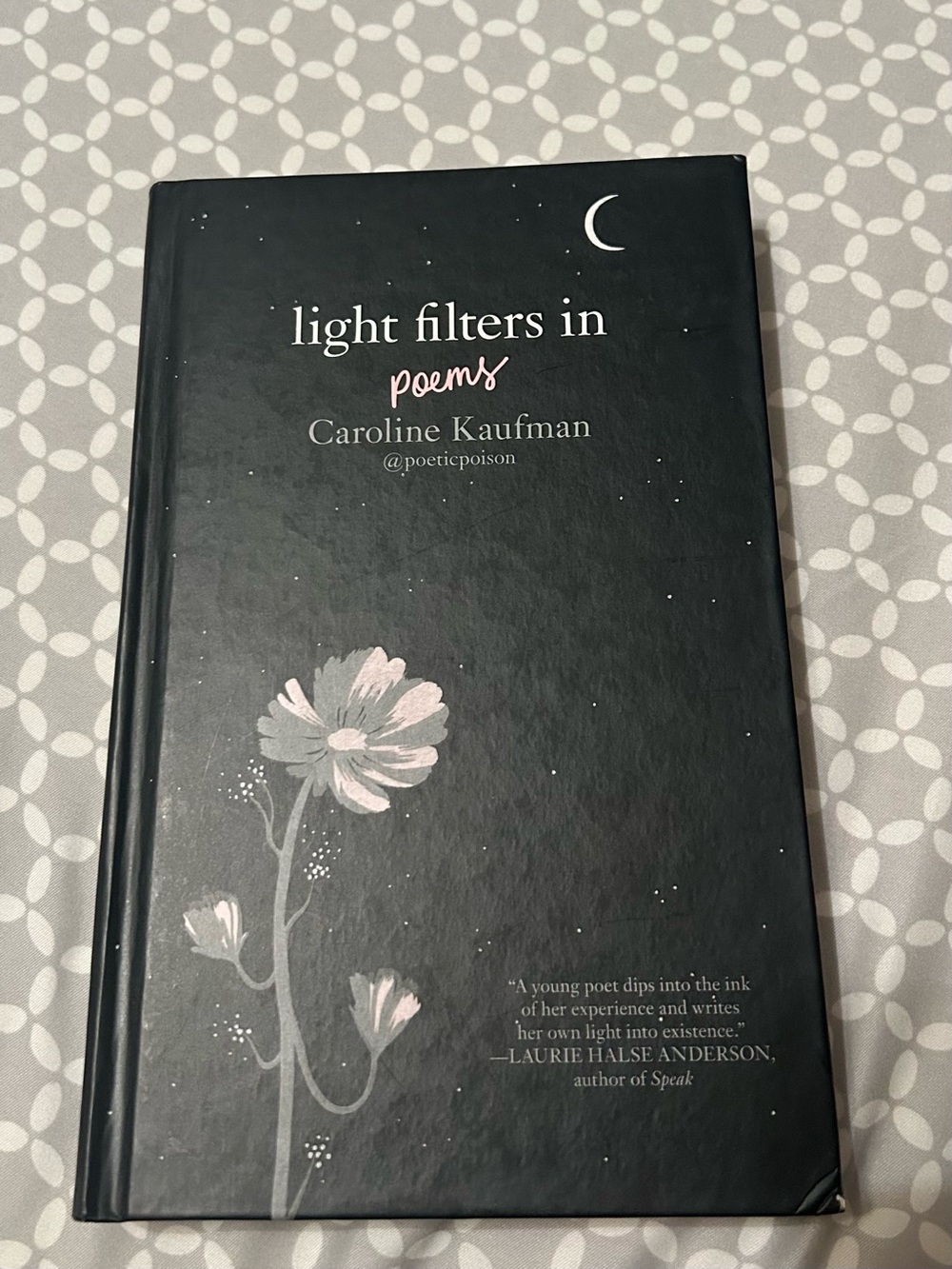 Light Filters In Poems by Caroline Kaufman